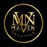MAVEN - BLACK DIAMOND X 3.5 GRAM FLOWER